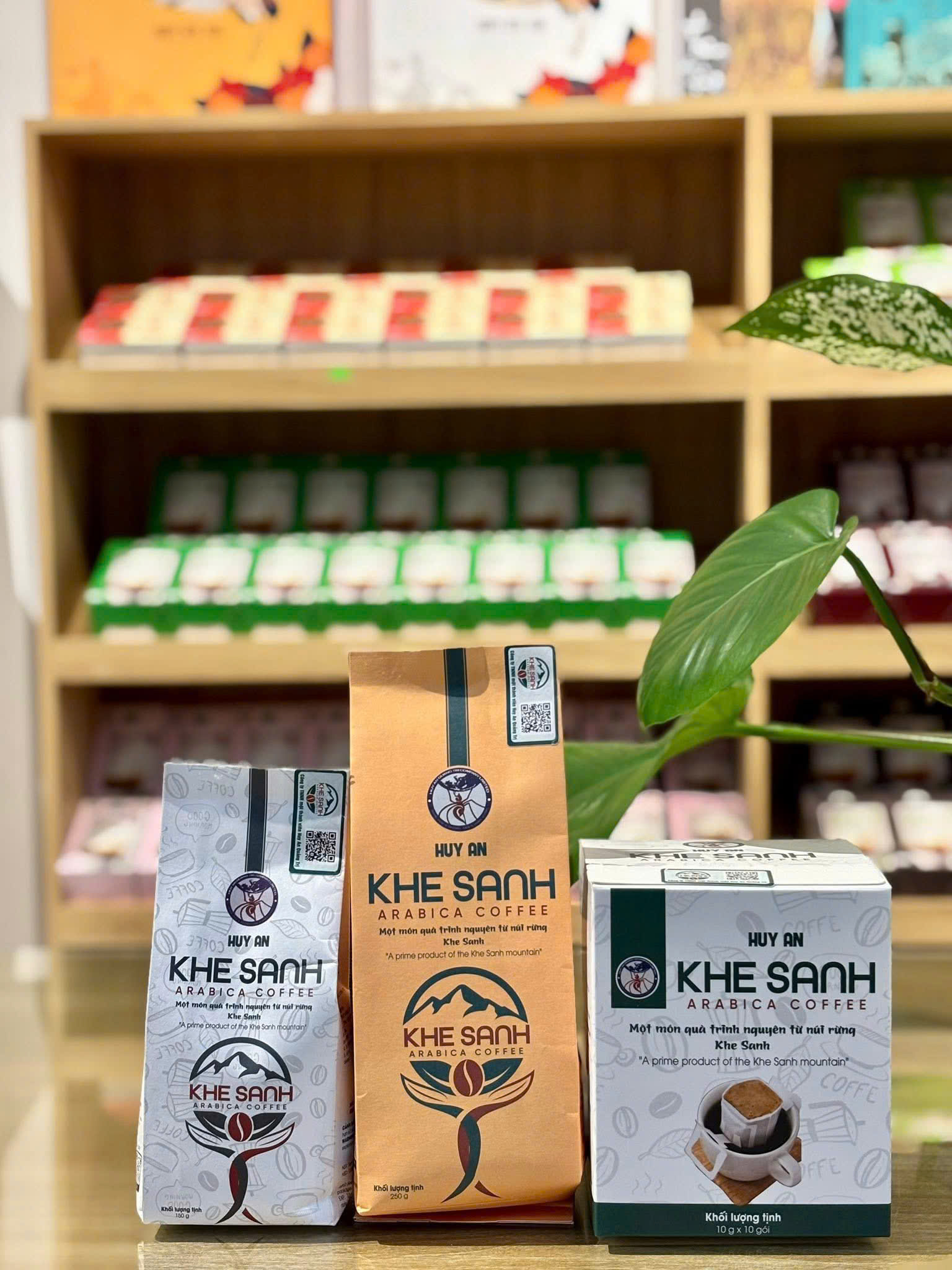 Khe Sanh Arabica Coffee Hạt Huy An 2