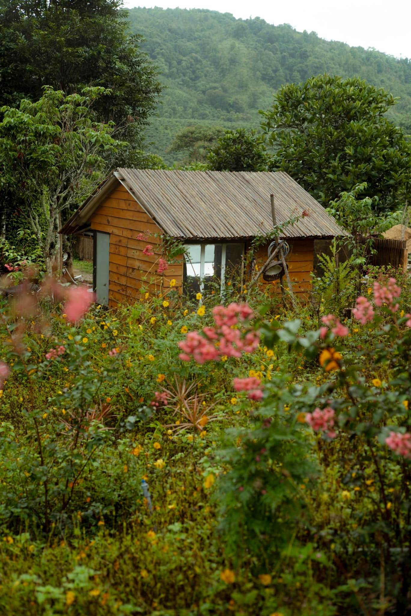 Năm Mùa Bungalow 2