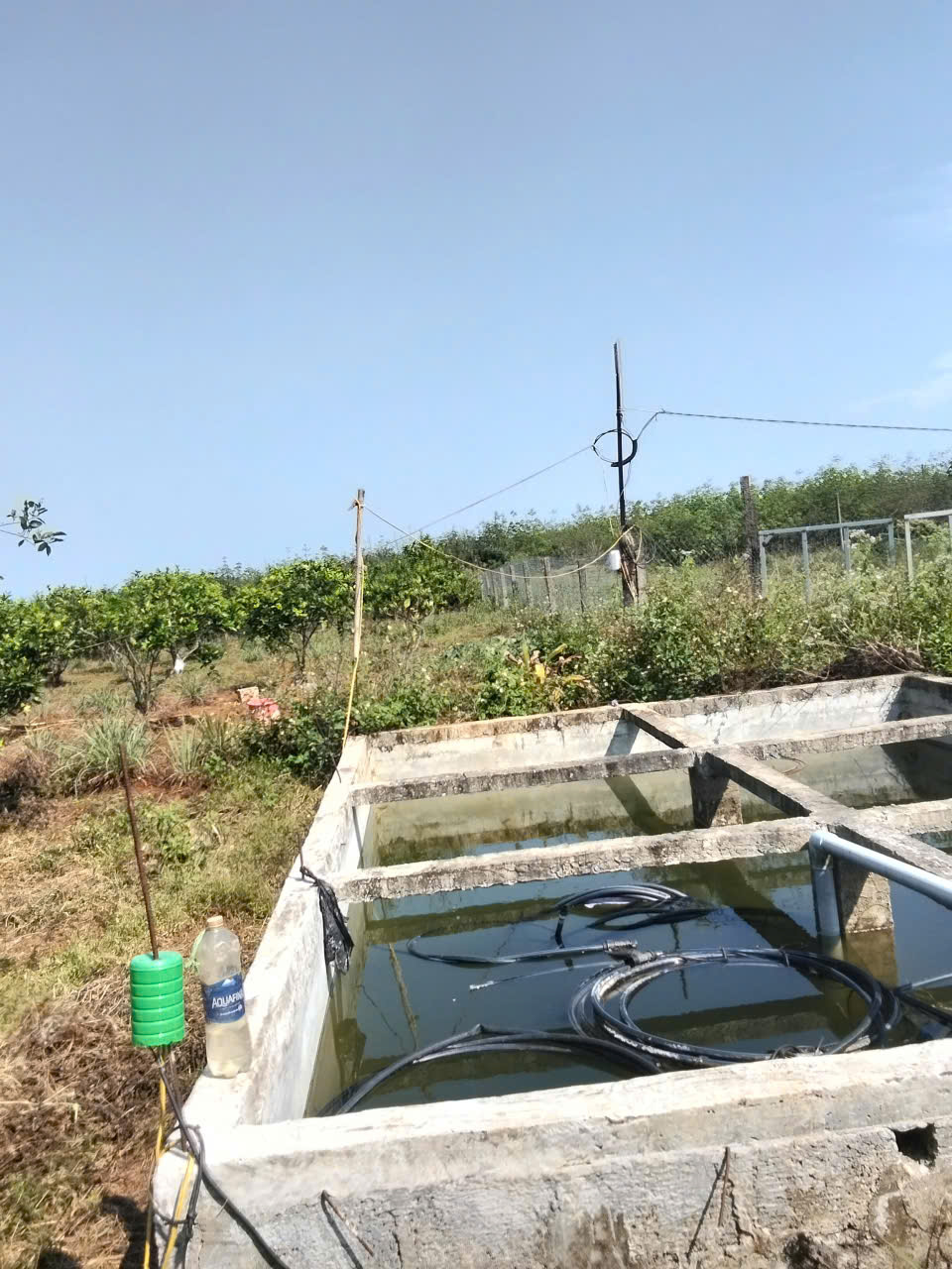 HTX dịch vụ tổng hợp Đồng Tiến 4