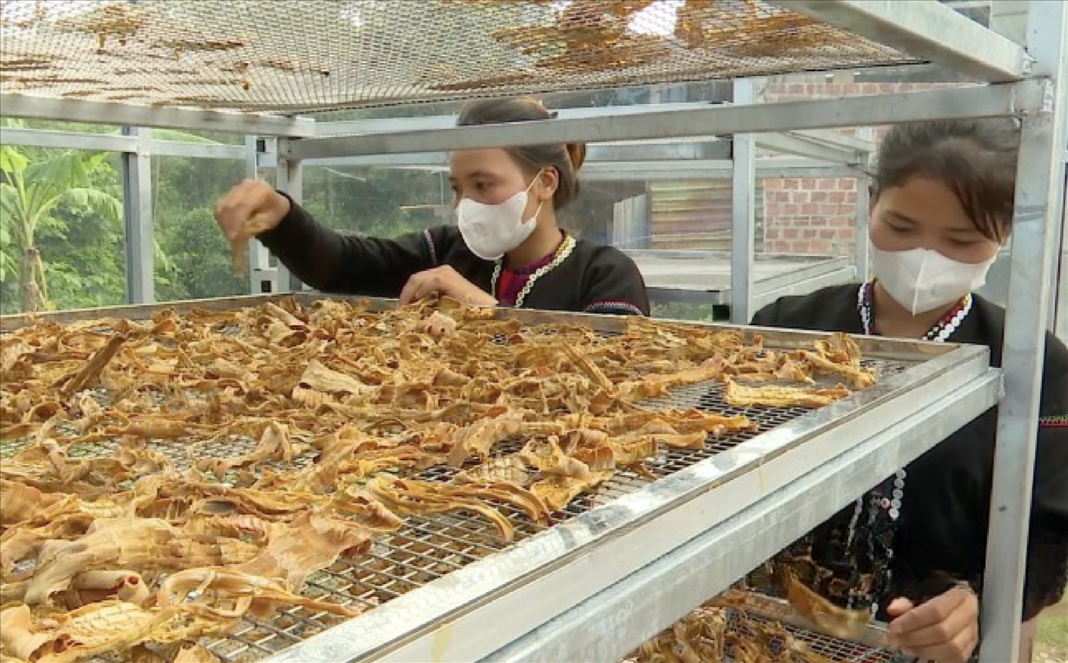 Tổ hợp tác nông sản sạch Ba Tầng 3
